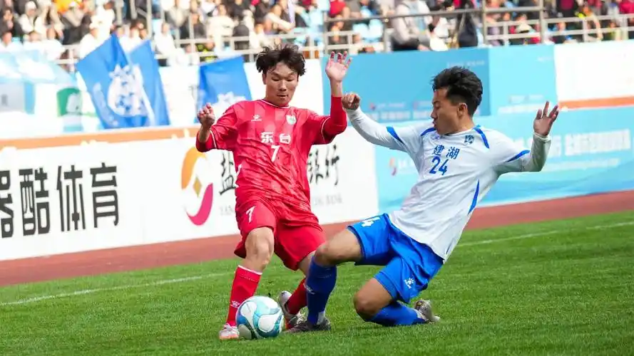 雨燕直播免费观看